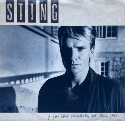 Vinyl : Sting - If You Love Somebody Set Them Free ( 12'' 45rpm )
