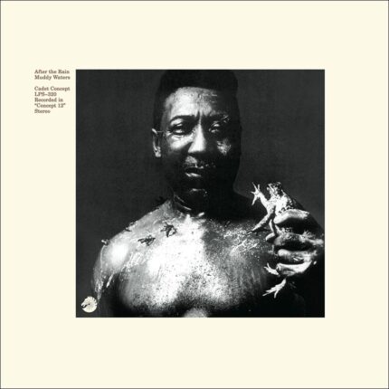Vinyl : Muddy Waters – After The Rain