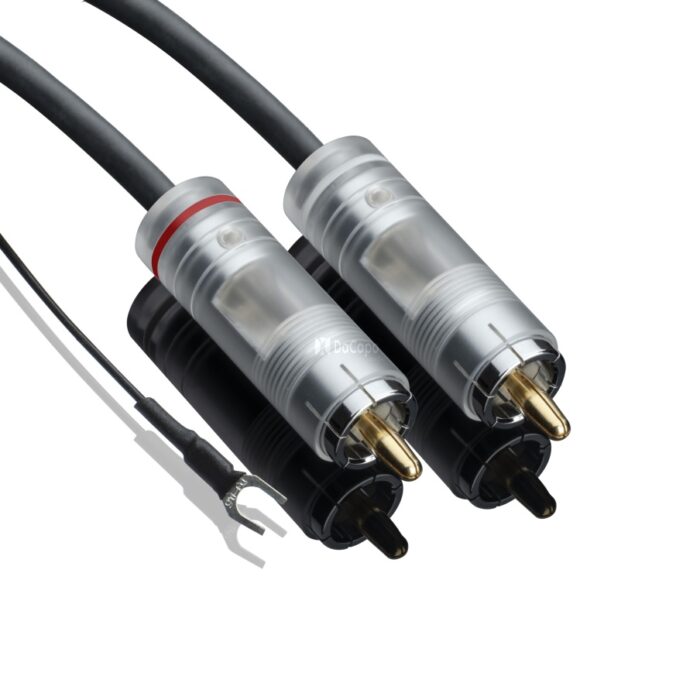 PJ20ConIt20Pho20S20RCA123